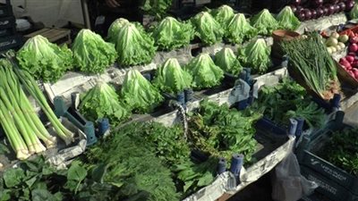 نزلت النص، كيلو الشبت والبقدونس والكزبرة يتراجع 150 جنيهًا في سوق العبور