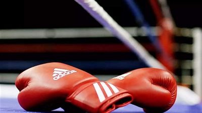 الإفتاء: يجوز ممارسة رياضة الملاكمة إذا توفرت هذه الشروط
