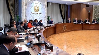 مدبولي يستعرض موقف المنصة الرقمية للمشروعات المتوسطة والصغيرة