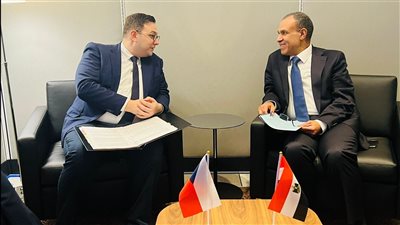 وزير الخارجية لنظيره التشيكي: الانتهاكات الإسرائيلية ستعرض شعوب المنطقة لعواقب خطيرة