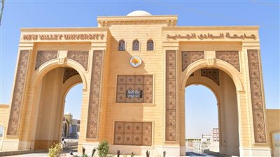 القيادة السياسية توافق على إنشاء أول جامعة أهلية بالوادي الجديد 