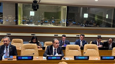 وزير الخارجية: تدمير 90% من المنشآت السكنية في غزة