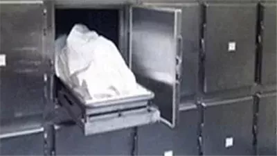 طفل يقتل شقيقه بسبب الخلاف علي 200 جنيه بقليوب 