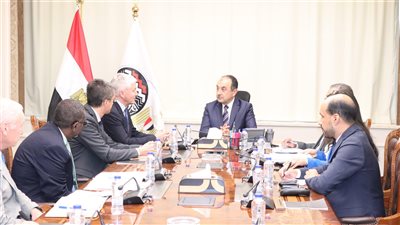 وزير قطاع الأعمال العام يبحث مع وفد البنك الدولي التعاون المشترك