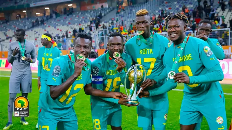 أمم أفريقيا للمحليين،