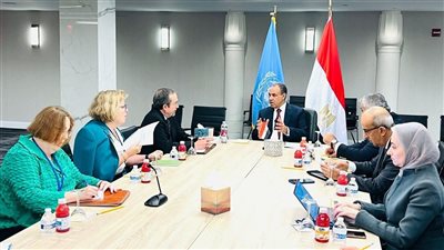 وزير الخارجية: الأمن المائي وسد النهضة قضية وجودية ولا تهاون بشأنهما