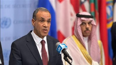 وزير الخارجية: نرفض أن تكون هناك دولة فوق القانون 