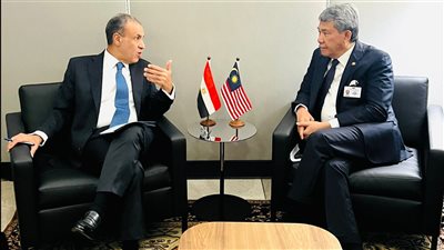 وزير الخارجية يؤكد لنظيره الماليزي ضرورة الوقف الفوري لإطلاق النار في غزة ولبنان