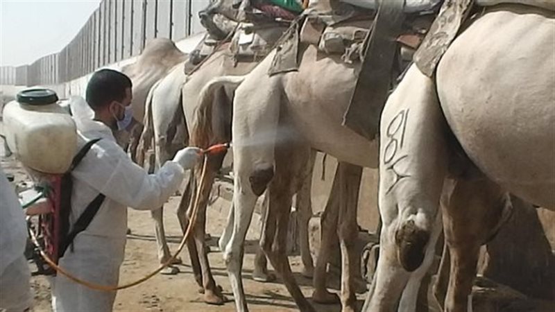 الزراعة تعالج وتحصن