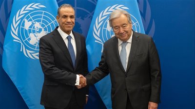 وزير الخارجية لـ جوتيريش: مصر ترفض أى ممارسات أحادية تضر بمصالح دولتي المصب