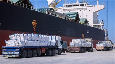 تداول 32 سفينة بميناء دمياط خلال 24 ساعة