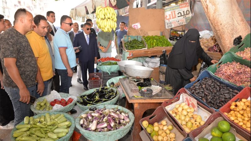 جولة محافظ الدقهلية،