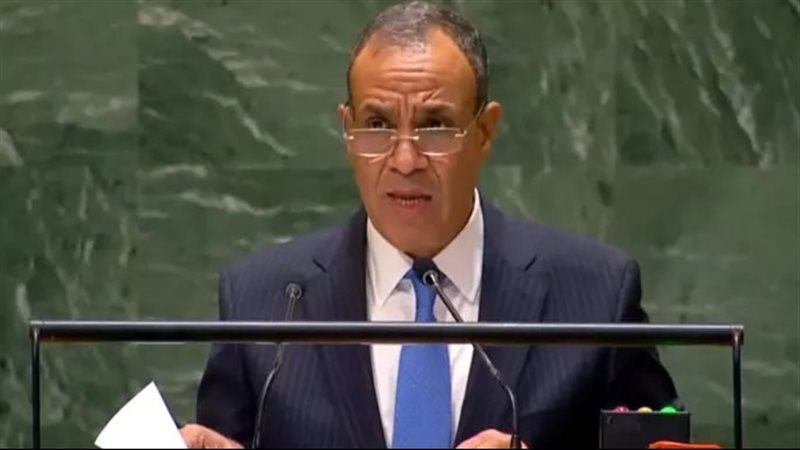 وزير الخارجية الدكتور