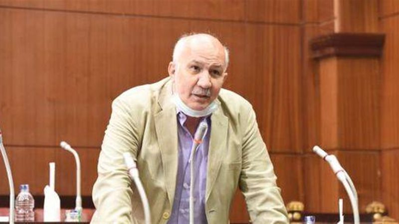 النائب سيد عبد العال،