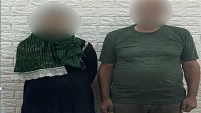 حبس 9 عناصر متهمين في جرائم سرقات متنوعة بالخليفة والمرج ومدينة نصر 