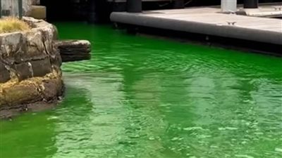 ذعر في أستراليا بسبب حدث غريب في خليج كارينينج