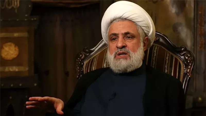 نعيم قاسم، فيتو
