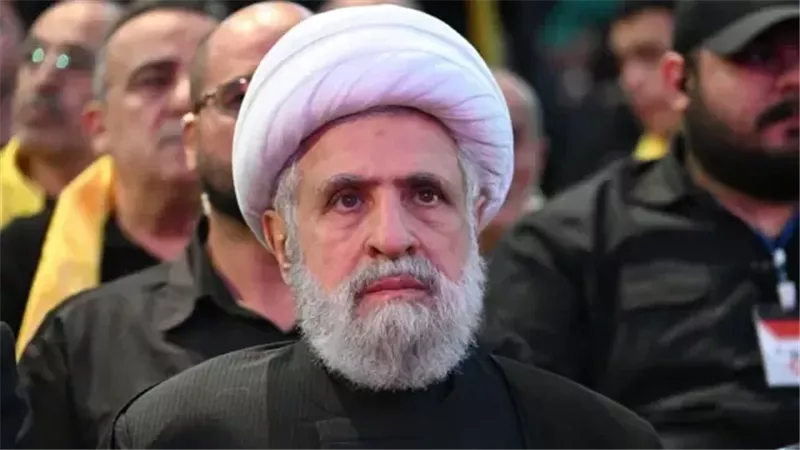 نعيم قاسم، فيتو