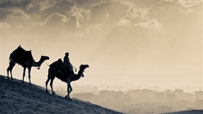 عبد الله بن أبي بكر