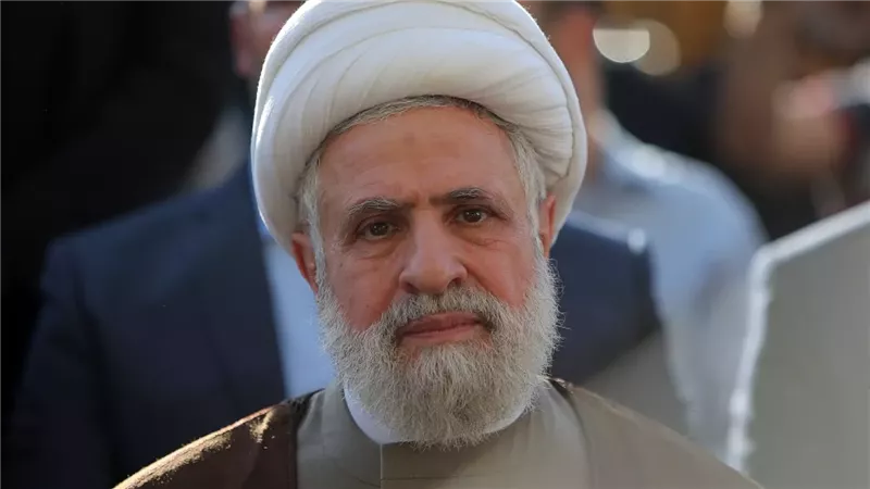 نعيم قاسم، فيتو