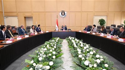 وزير الصناعة يبحث مع 4 شركات أوروبية خطة توطين صناعة المحللات الكهربائية بمصر