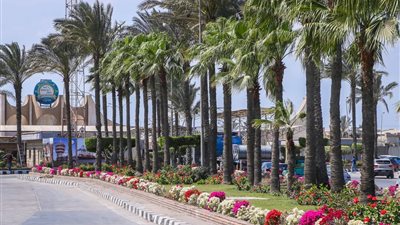 تداول 32 سفينة بميناء دمياط خلال 24 ساعة