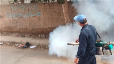 صحة البحيرة تواصل تكثيف أعمال المكافحة لناقلات الأمراض المعدية (صور)