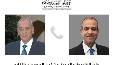 وزير الخارجية: مصر ترفض أي محاولات لتكريس وضع جديد يمس سيادة لبنان 