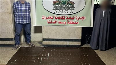 حبس 11 عنصرا إجراميا بتهمة حيازة مواد مخدرة تقدر بملايين الجنيهات