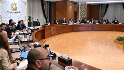 مدبولي يكلف المجموعة الاقتصادية بإجراءات محفزة للقطاع الخاص