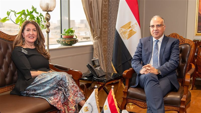 وزير الري يلتقي سفيرة
