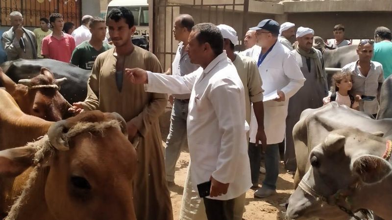 حملات الطب البيطري