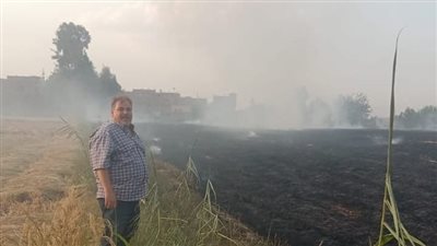 البيئة: استمرار الجولات التفقدية لمتابعة سير عمل منظومة قش الأرز بالشرقية (صور)