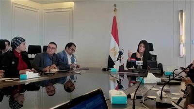 المشاط: العمل على خطة عاجلة لحل أزمة الكهرباء حتى يوليو المقبل