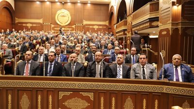 تفاصيل تشكيل هيئات مكاتب اللجان النوعية بالشيوخ بدور الانعقاد الخامس.. التغيير في لجنتين فقط.. حسين خضير للصحة بدلا من علي مهران.. ومجدي سليم بديلا للراحل عياد في الطاقة