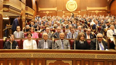 لجان الشيوخ تجهز خطتها بعد التشكيل، وهذه ضوابط عملها