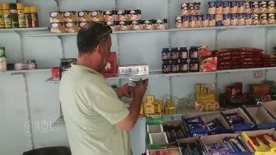 حملات تموينية مكثفة بقلين وبلطيم في كفر الشيخ 