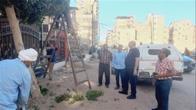 يوم بيئي للنظافة ورفع القمامة بمدينة ميت غمر (صور)