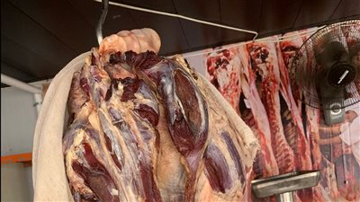 إحالة 263 محضرا بمخالفات تموينية في الدقهلية للنيابة العامة