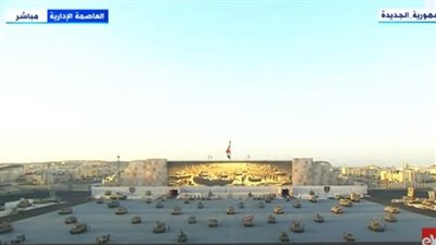 السيسي وبن زايد يشهدان عرضا خاصا لتشكيلات القوات المسلحة