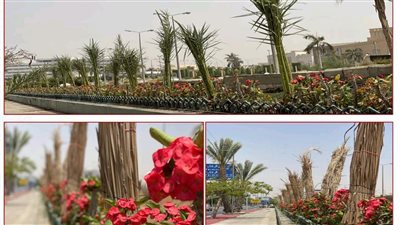 رئيس الشركة القابضة للمطارات يتفقد أعمال صيانة وتطوير مداخل ومخارج مطار القاهرة 