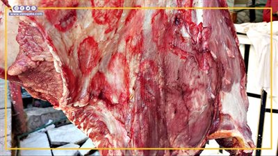 اللحمة فيها سم قاتل.. حكاية اللحوم الوقيع في مصر (فيديوجراف)