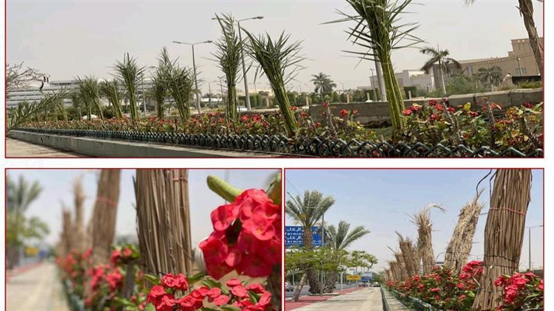تطوير الطرق المؤدية