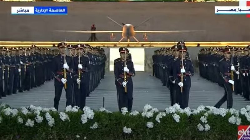 عرض المهارات الفنية