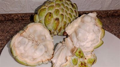 فوائد فاكهة القشطة، تعالج أنيميا فقر الدم وتقوي المناعة وتحارب السرطان 