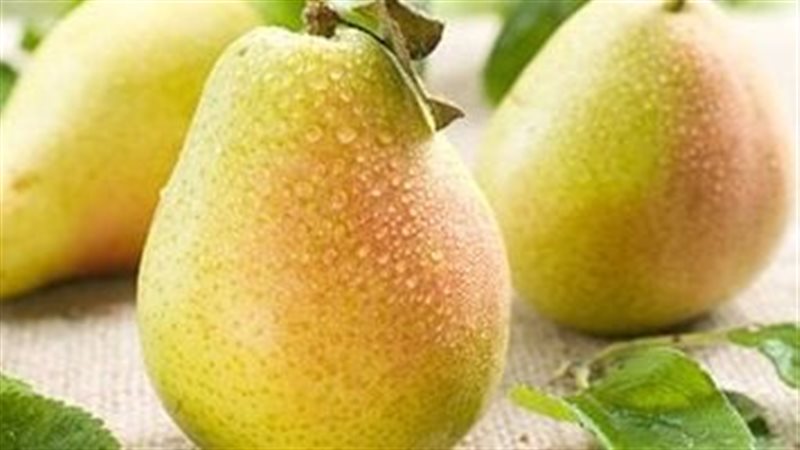 فوائد الكمثرى 