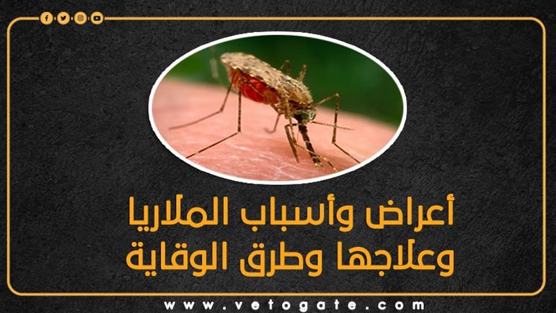 الملاريا 
