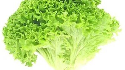 خس السلطة يضع رئيسة الحكومة البريطانية السابقة في موضع سخرية