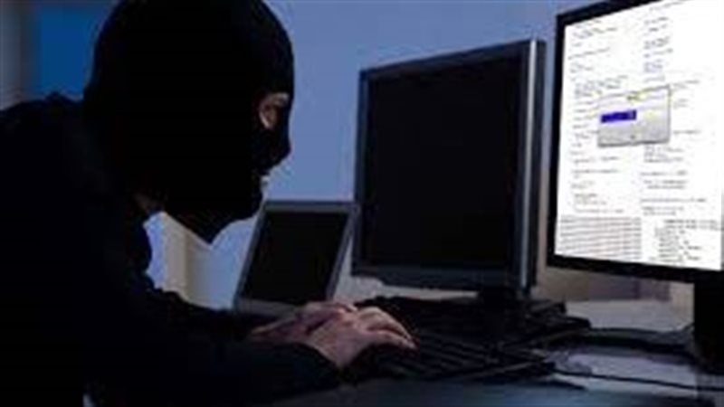 جرائم الإنترنت، فيتو