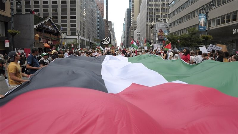 احتجاجات داعمة لفلسطين